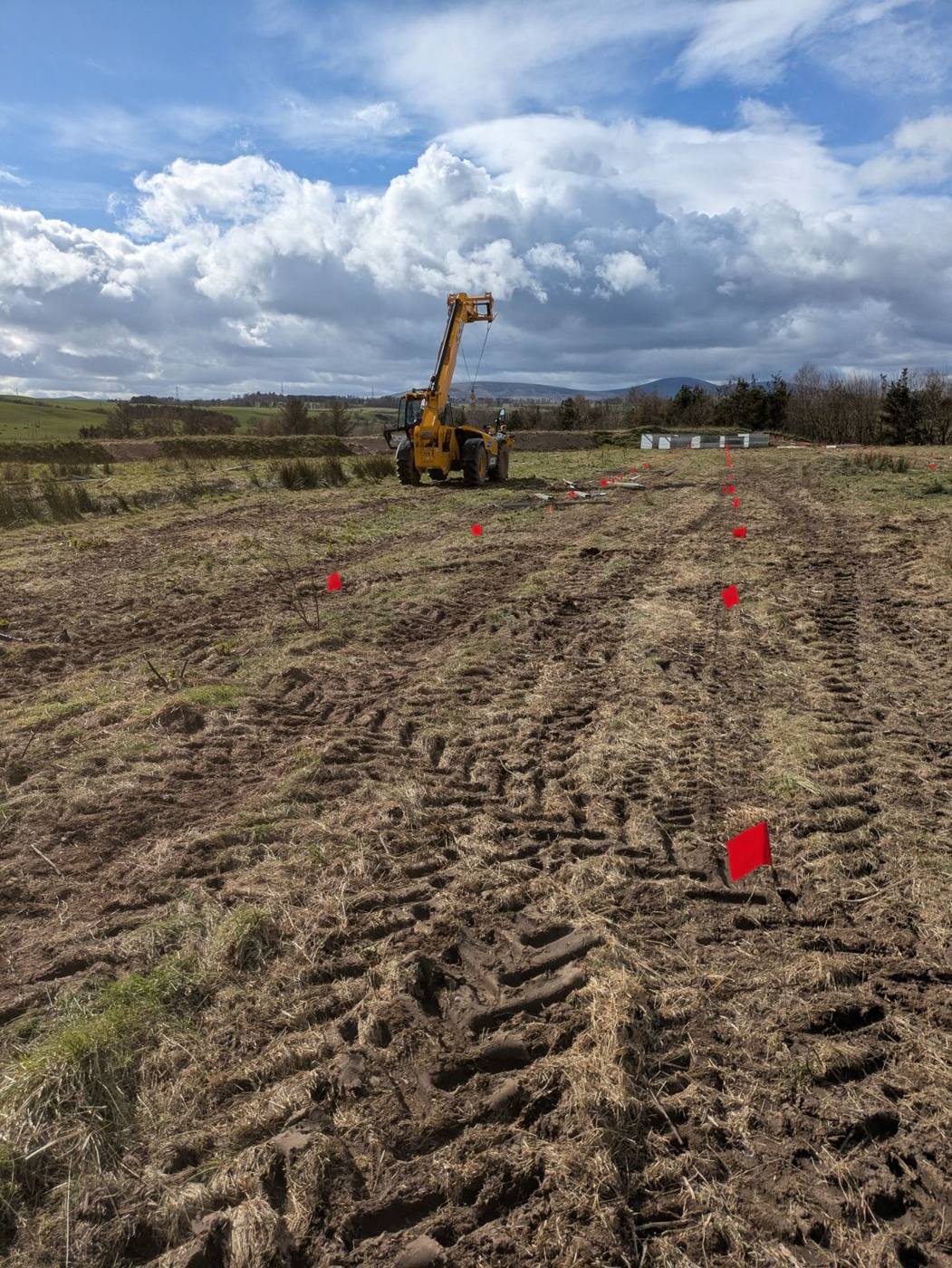 Solar farm pile positions marked with red flags in rows ahead of piling, with a telehandler and mounting structure steel on site